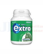 64G EXTRA SPEARMINT BOTTLE