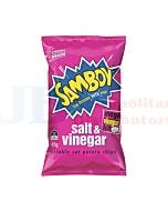 45G SAMBOY SALT & VINEGAR