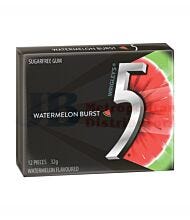 32G 5GUM WATERMELON 12 PIECE